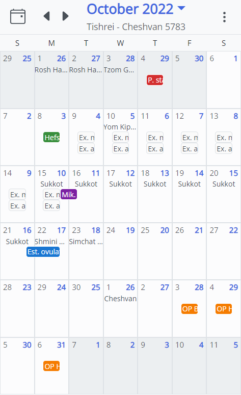 MikvahKal Calendar View Screenshot