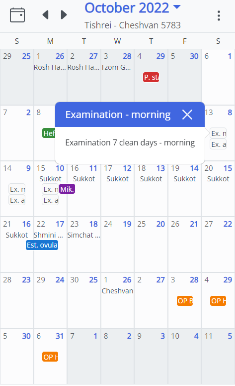 MikvahKal Examination View Screenshot