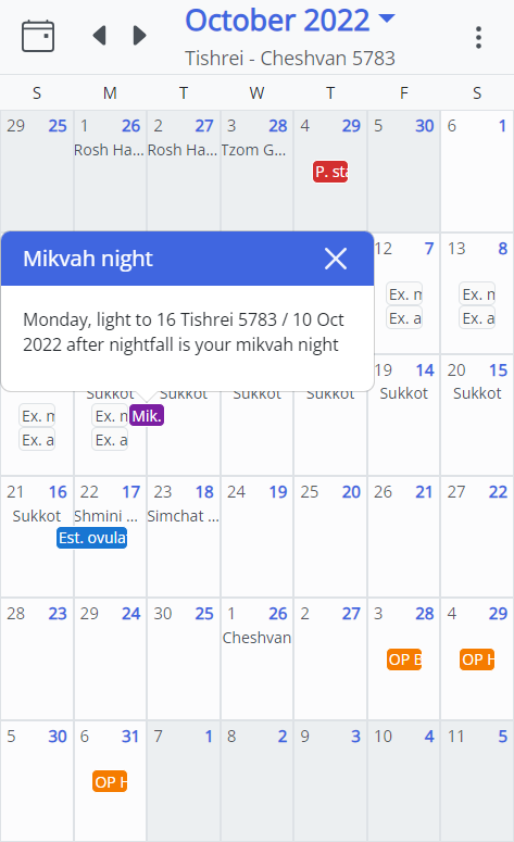 MikvahKal Mikvah Night View Screenshot
