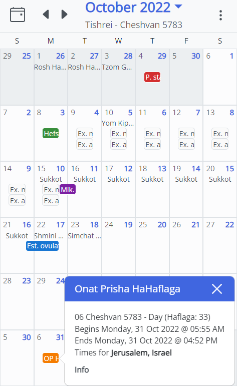 MikvahKal Onat Prisha View Screenshot